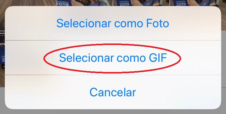gif iphone - Como fazer um gif no celular